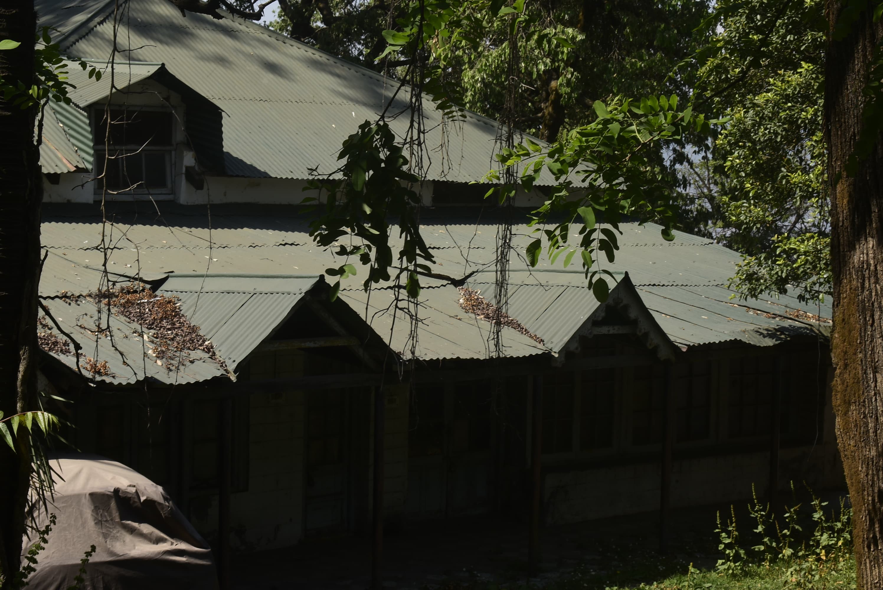 photo-1.jpg